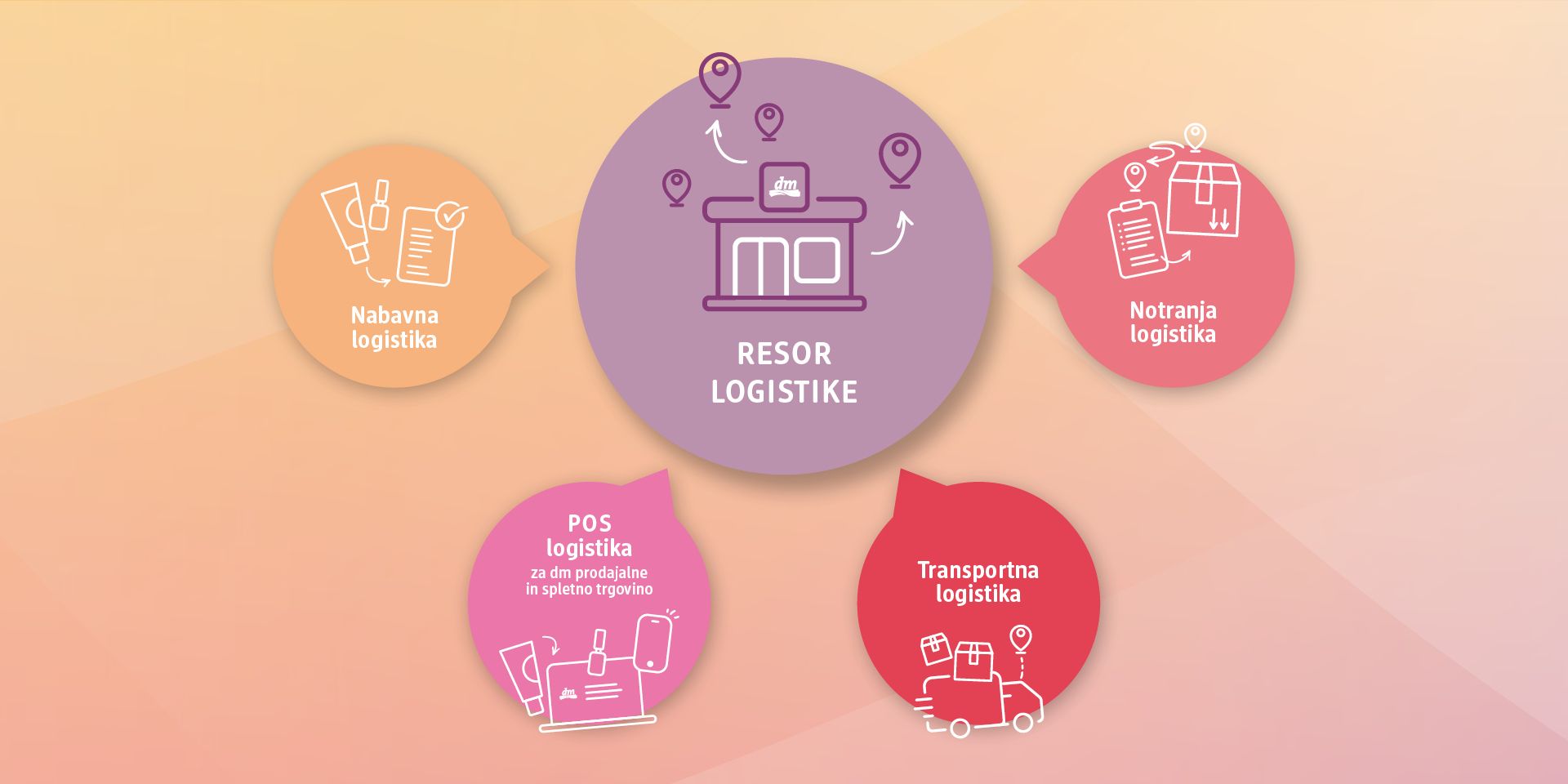 dm slovenija_dm centrala_logistika razporeditev_zaposlitev v logistiki