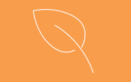 Symbol Blatt