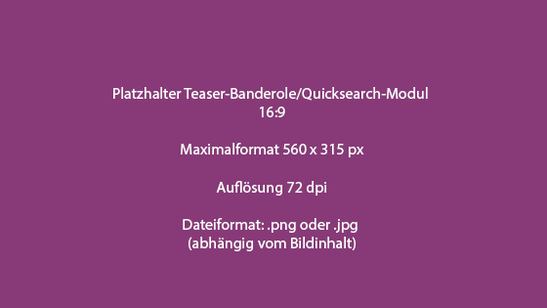 Teaserbanderole-quicksearch